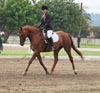 Kymar Carousel Star