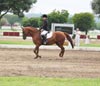 Kymar Carousel Star