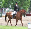 Kymar Carousel Star