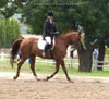 Kymar Carousel Star