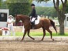 Kymar Carousel Star