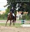 Kymar Carousel Star