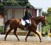 Kymar Carousel Star