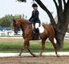 Kymar Carousel Star