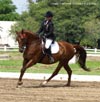 Kymar Carousel Star