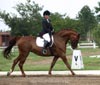 Kymar Carousel Star