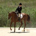 Kymar Carousel Star
