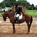 Kymar Carousel Star