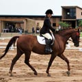 Kymar Carousel Star