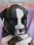 Tanyati F Litter