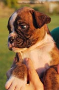 Tanyati F Litter