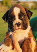 Tanyati F Litter