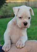 Tanyati F Litter
