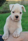 Tanyati F Litter