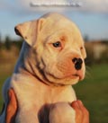 Tanyati F Litter