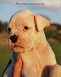 Tanyati F Litter