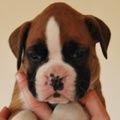 Tanyati G Litter
