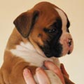 Tanyati G Litter