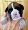 Tanyati A Litter