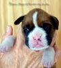Tanyati A Litter