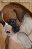 Tanyati A Litter