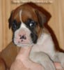 Tanyati A Litter