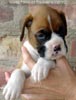 Tanyati A Litter
