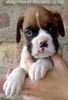 Tanyati A Litter