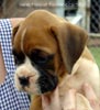 Tanyati A Litter