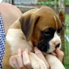 Tanyati A Litter