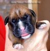 Tanyati A Litter