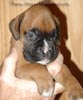 Tanyati A Litter