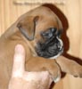 Tanyati A Litter