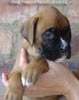 Tanyati A Litter