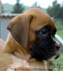 Tanyati A Litter