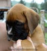 Tanyati A Litter