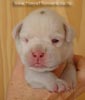 Tanyati A Litter