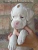 Tanyati A Litter