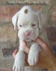 Tanyati A Litter