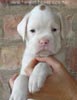 Tanyati A Litter