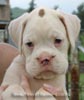 Tanyati A Litter