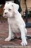 Tanyati A Litter