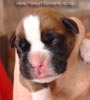 Tanyati A Litter
