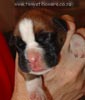 Tanyati A Litter