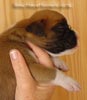 Tanyati A Litter