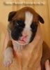 Tanyati A Litter