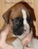 Tanyati A Litter
