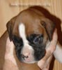Tanyati A Litter