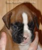 Tanyati A Litter