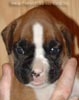 Tanyati A Litter